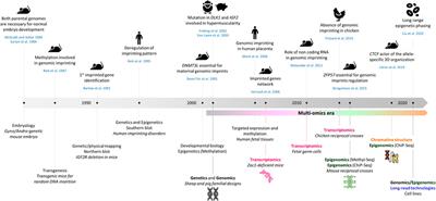 Genomic Imprinting in the New Omics Era: A Model for Systems-Level Approaches